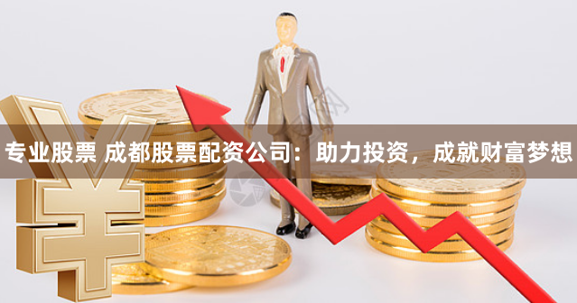 专业股票 成都股票配资公司：助力投资，成就财富梦想